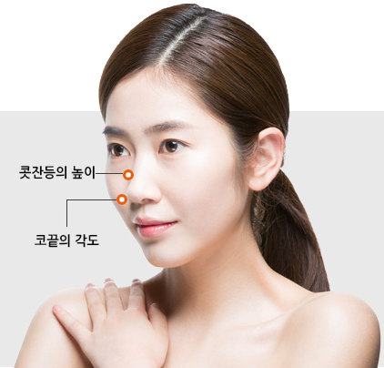 코끝 수술 설명 이미지